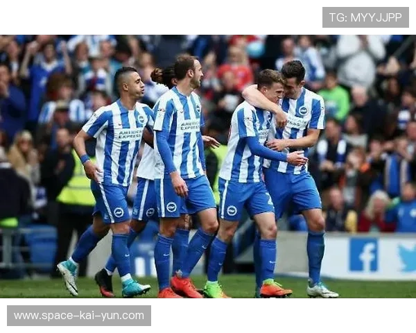 尼斯中后场伤病严重,多人确认缺阵影响排兵 尼斯中后场伤病严重,多人确认缺阵影响排兵