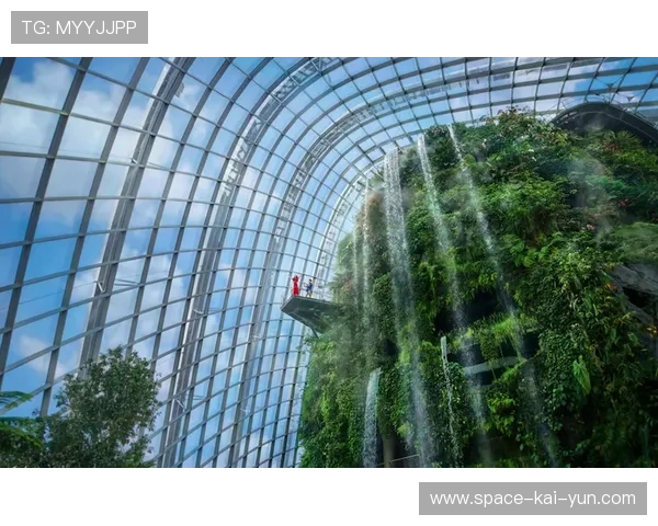 新加坡蔡厝港小轮车赛道设六米高坡道和31处起伏障碍